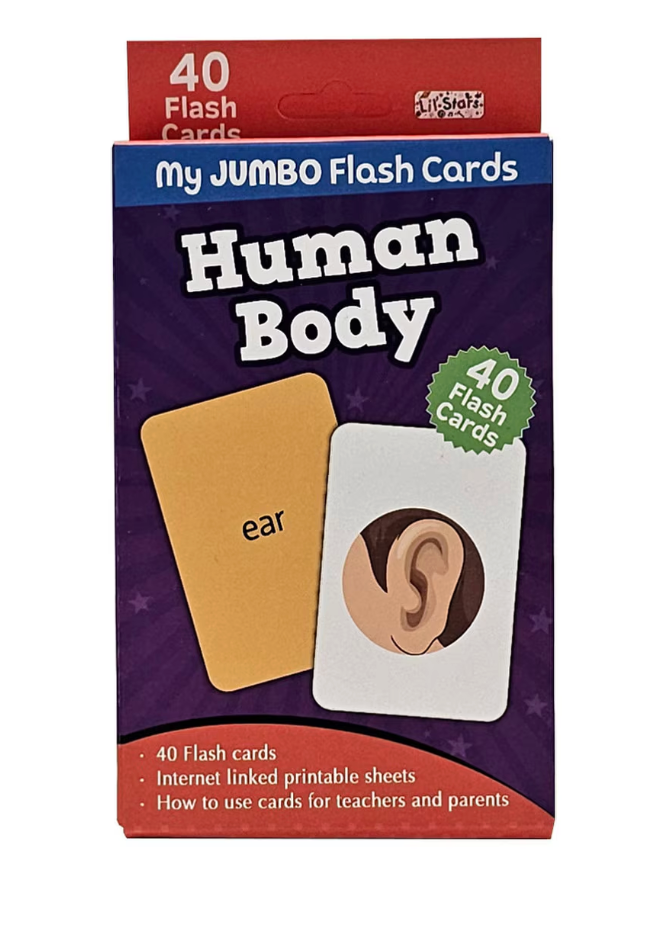 Popcorn - HUMAN BODY FLASH CARDS